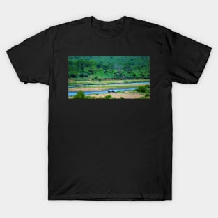 A Couple of Hippos and a Herd of Elephants on the Crocodile River T-Shirt